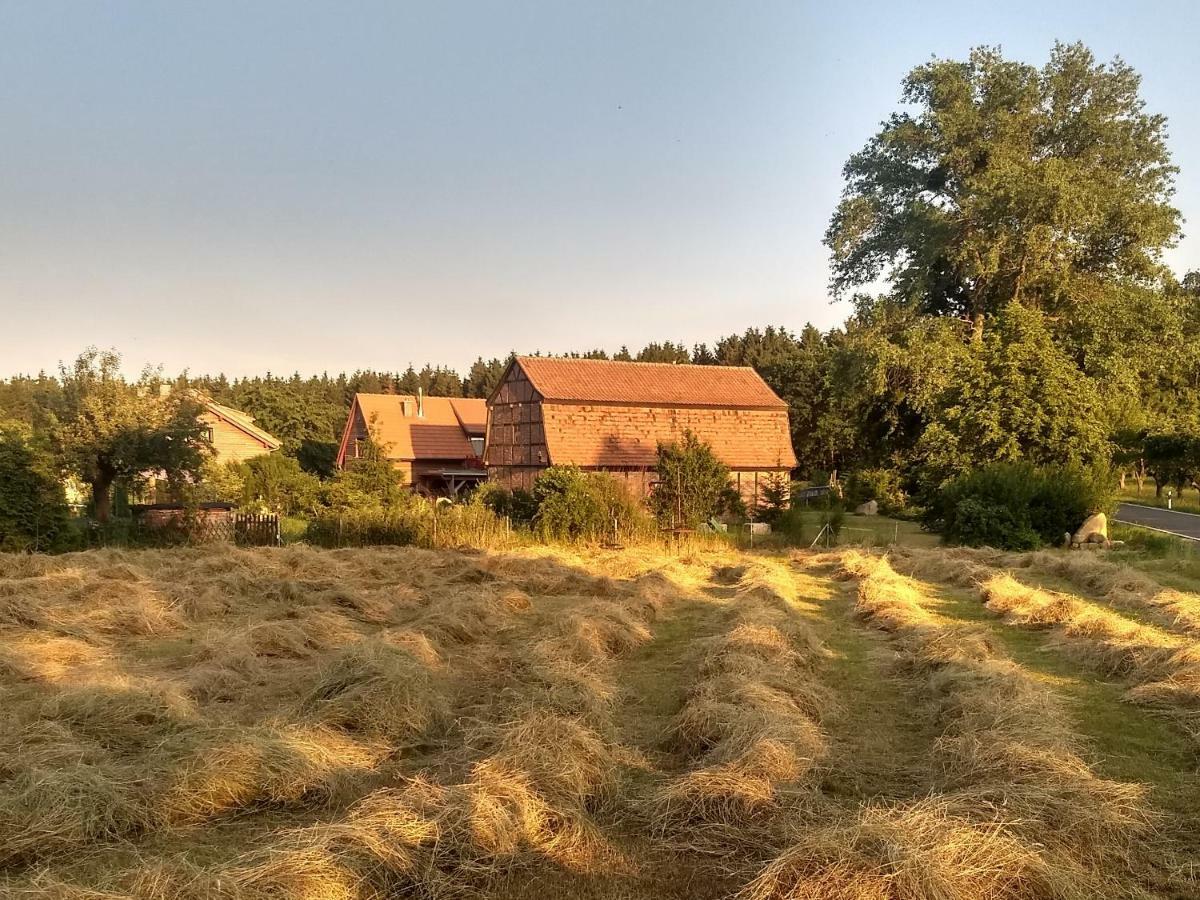 Ziegeleihof Inmitten Von Wiesen Und Waeldern Degenershausen Exterior photo